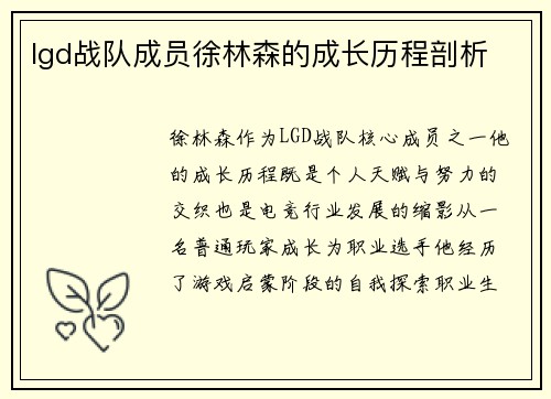 lgd战队成员徐林森的成长历程剖析